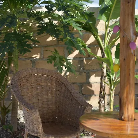 New Arisen Bungalows Bwejuu Exterior photo