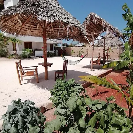 New Arisen Bungalows Bwejuu Exterior photo
